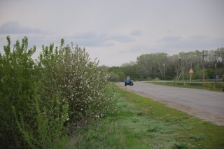 Местный житель на мини-тракторе.