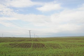 Утреннее поле.
