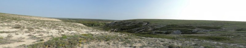 Панорама балки меловой горы.