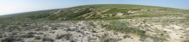 Панорама меловой горы.