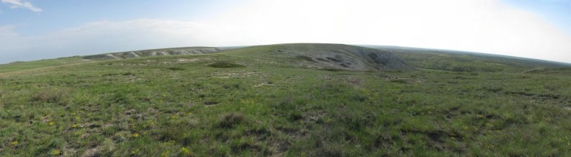 Панорама меловой горы. Травы.