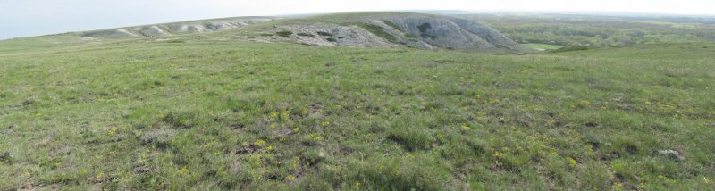 Панорама цветущей меловой горы.