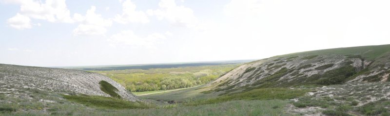 Панорама балки с можжевеловым полем.