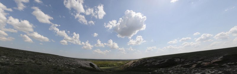 Панорама можжевельника в балке.