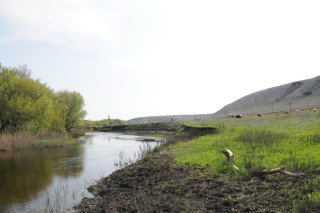 Берег  реки Иловли.