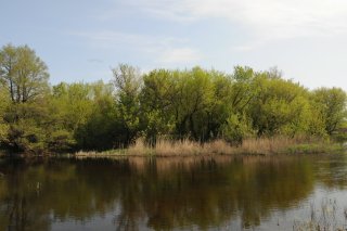 Река Иловля.