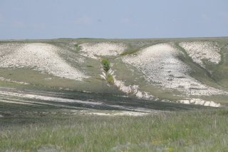 Деревья в балочке.