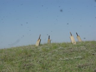 Туча мошкары. Геодезический знак.