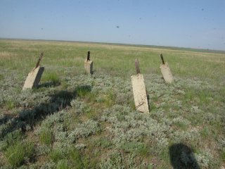 Туча мошкары. Геодезический знак (репер).