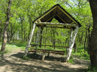 Перекошенная беседка.