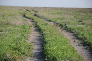 Степная дорога.