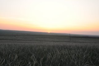 Закат в степи.