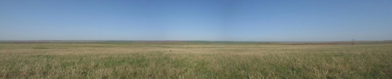 Поле за палаткой.