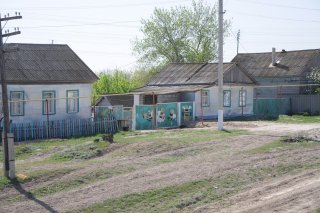Солодча. Ворота с пчёлами.