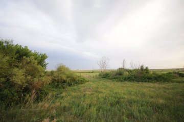 Травы балки.