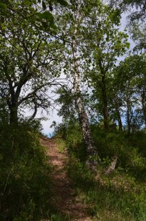 Урочище Чёртово Игрище. Тропинка в пески.