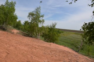 Урочище Чёртово Игрище. Пески и поле.