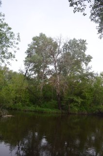 Река Иловля.