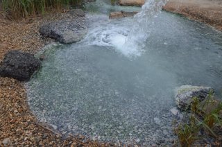Сероводородный источник №6. Труба и лужа.