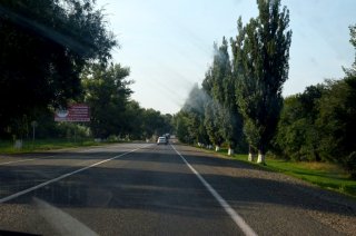 Ставрополье. Аллея вдоль трассы.