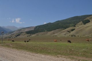 Горное пастбище.