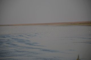 Река Маныч.