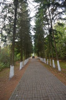 Хвойная аллея. Вид на памятник.