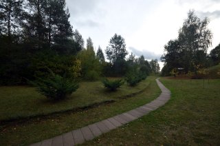 Дорожка.