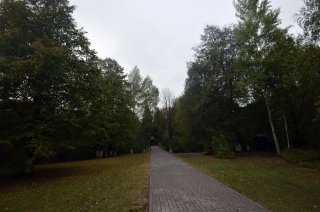 Аллея к памятнику.