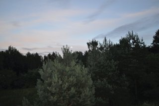 Луна над лесом у форта.