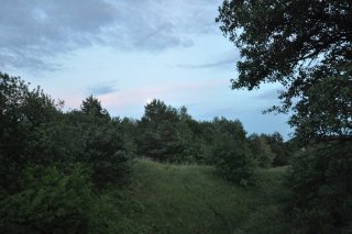 Вид с форта в сторону леса.