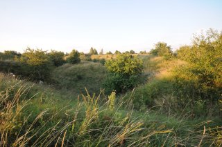 Деревья в глубине форта.