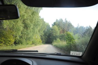 Грунтовка в лесу.