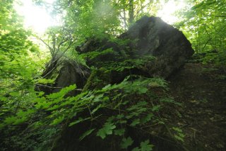 Глыба в лесу.