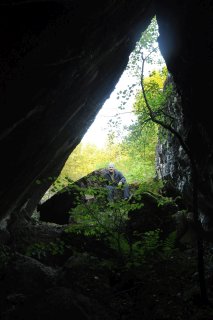 В треугольнике.