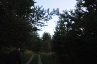 Дорога к Каменке.