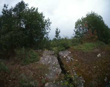 Разошедшийся шов свода.