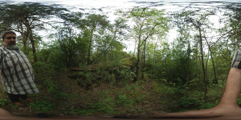 Сферическая панорама тропки.