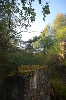Форт и лес.