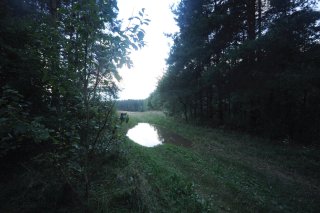 Лужа-озеро по дороге в форт.