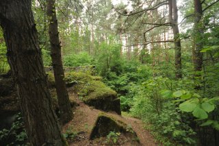 Тропинка по кровле форта.