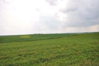 Поле с «заплаткой».