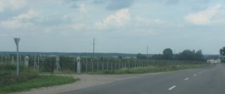 Ворота садов.