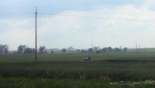 МАЗ в полях.