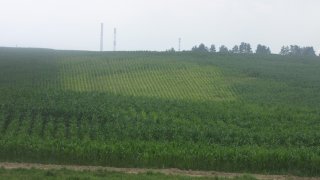 «Заплатка».