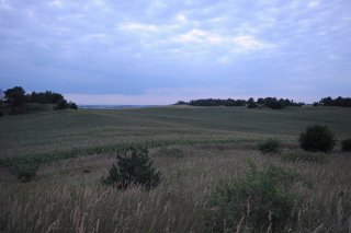 Поле у форта.