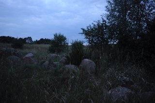 Камни с полей.