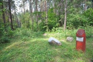 Лесной квартал.