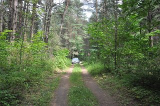 Машина на лесной дороге.