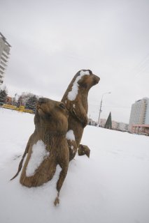 Заснеженные Суслики.